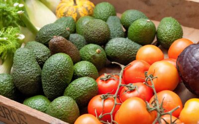 Les multiples bienfaits des fruits et légumes pour la peau et les cheveux