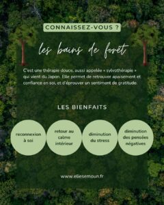 Les bains de forêt